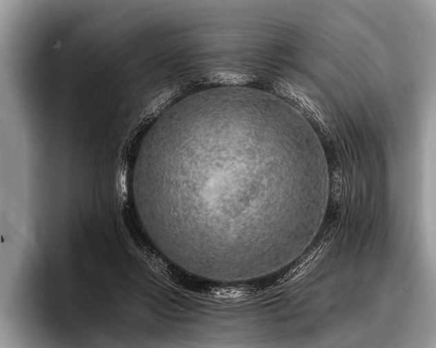 X0000096980358200802081412