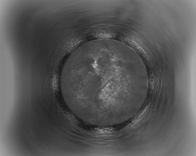 X0000096980359200802081412