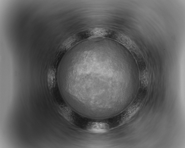 X0000096980360200802081412