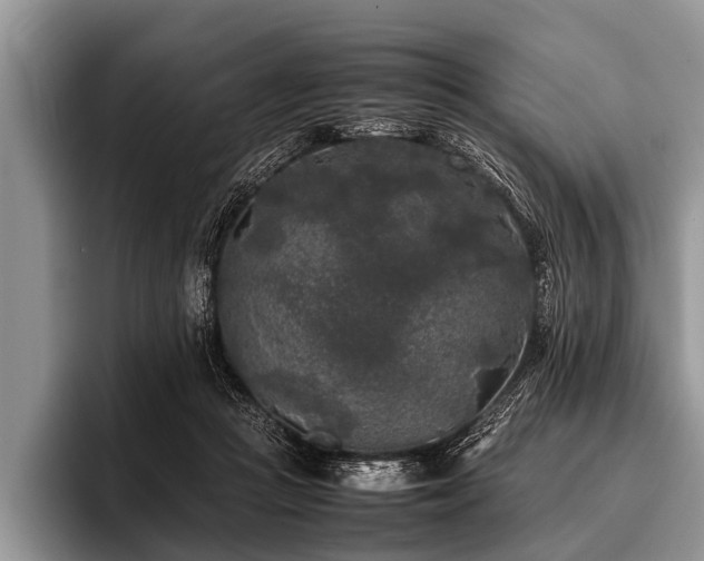 X0000096980361200802081412