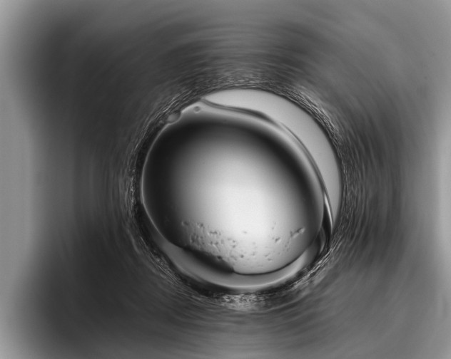 X0000096980362200802081412