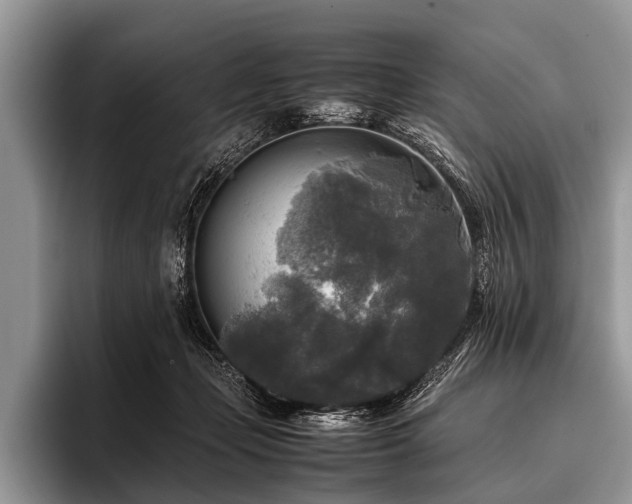 X0000096980365200802081412