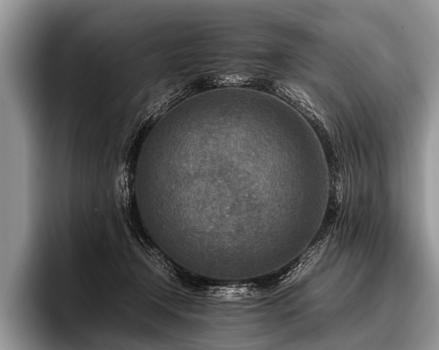 X0000096980366200802081412