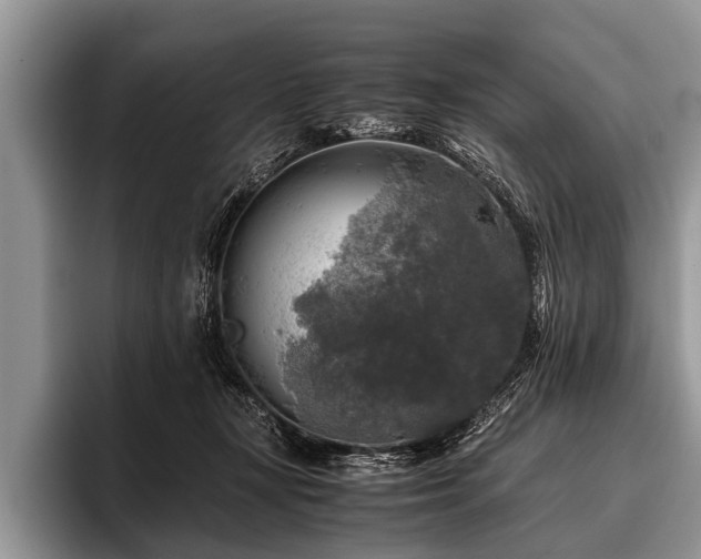 X0000096980367200802081412