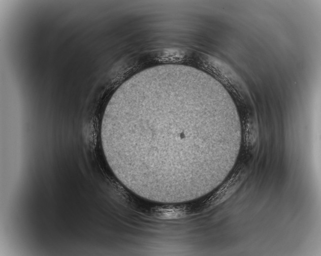 X0000096980370200802081412