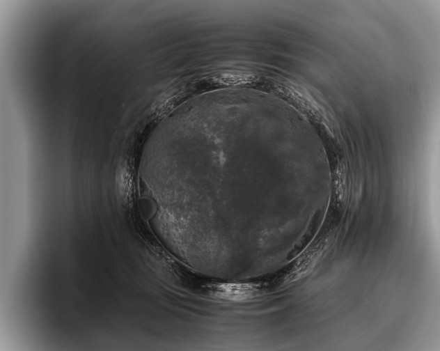 X0000096980371200802081412