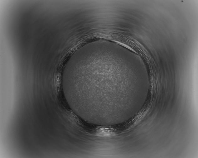 X0000096980372200802081412