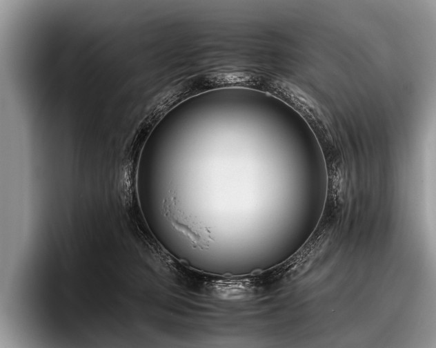 X0000096980373200802081412