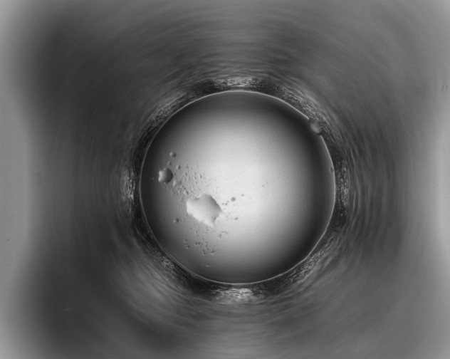 X0000096980374200802081412