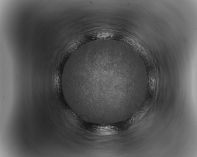 X0000096980375200802081412