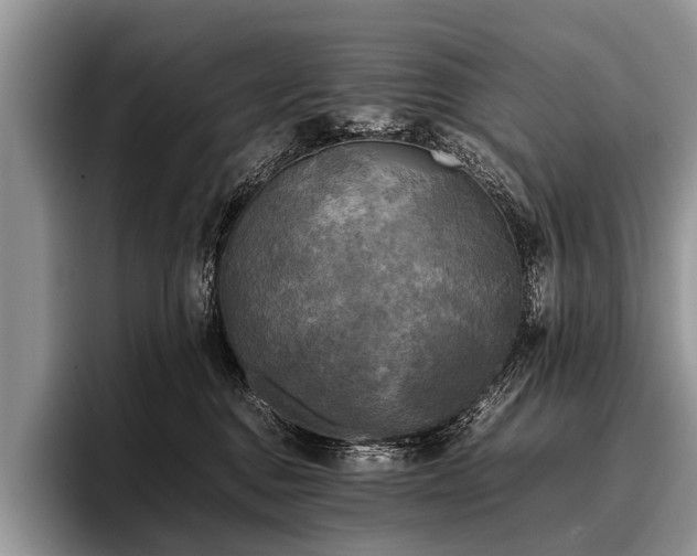 X0000096980376200802081412