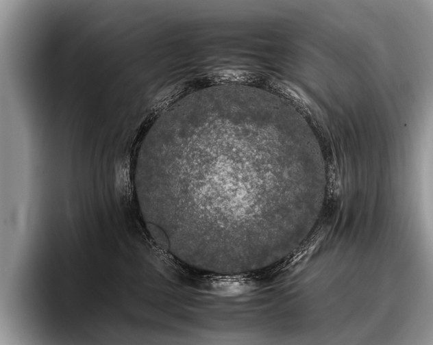 X0000096980377200802081412