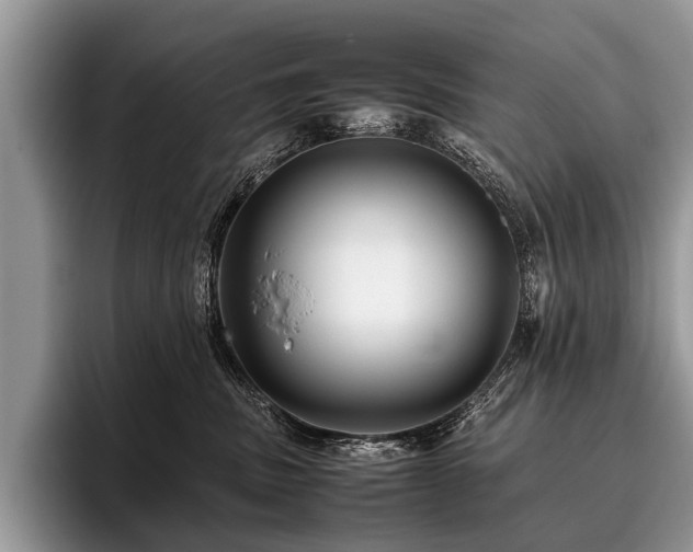 X0000096980379200802081412