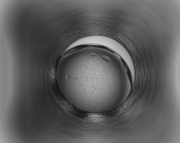 X0000096980380200802081412