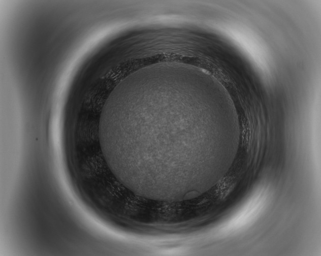 X0000096980383200802081412