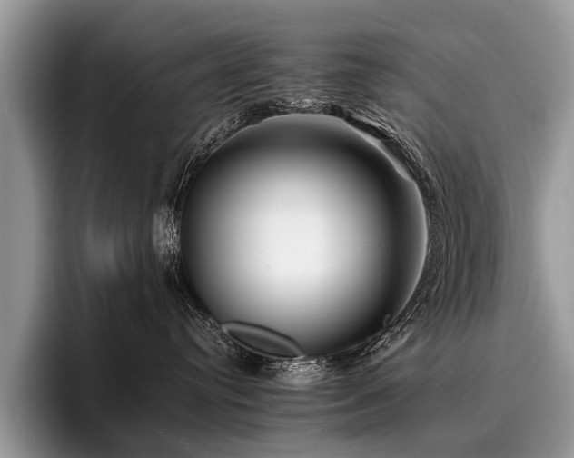 X0000096980384200802081412