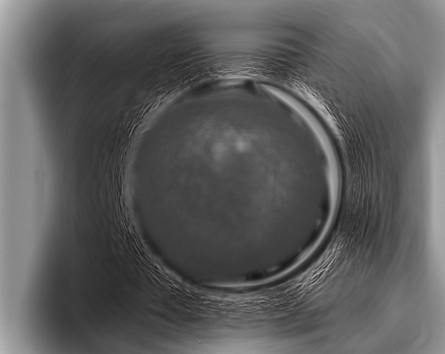 X0000096980385200802081412