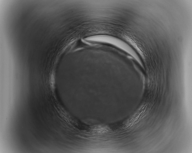 X0000096980386200802081412