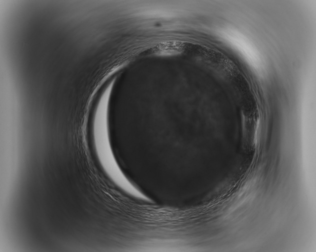 X0000096980387200802081412