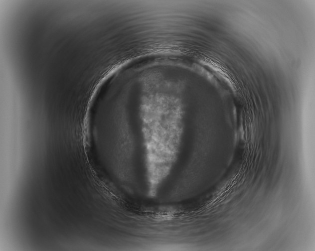 X0000096980388200802081412