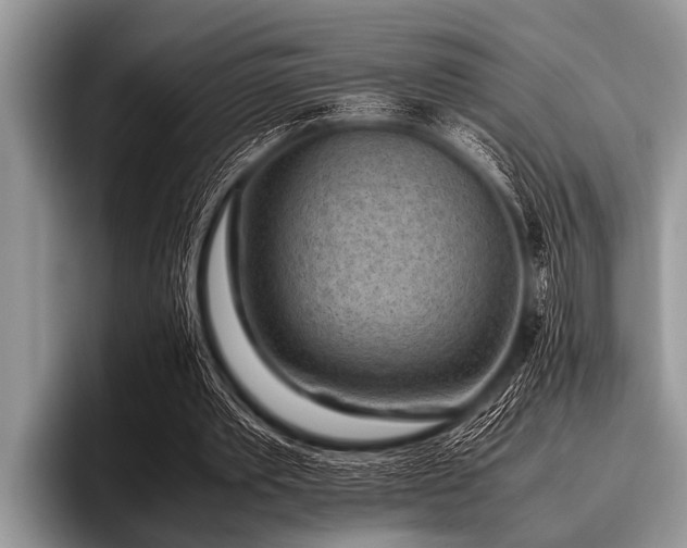 X0000096980389200802081412