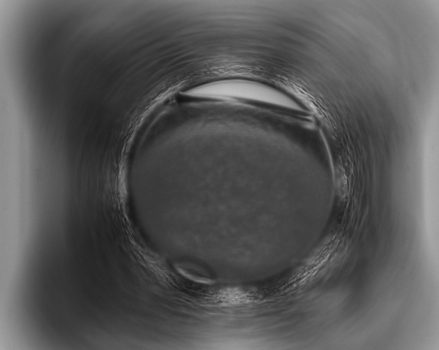 X0000096980390200802081412