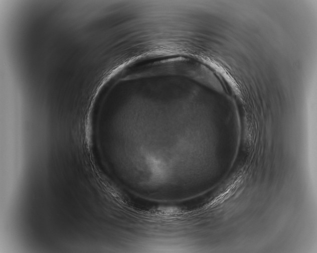 X0000096980391200802081412