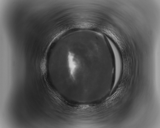 X0000096980392200802081412