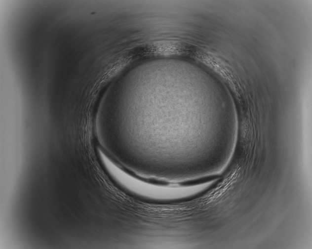 X0000096980393200802081412