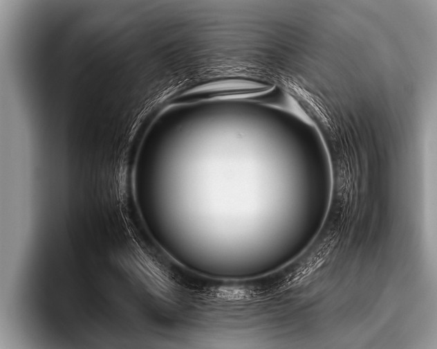 X0000096980394200802081411