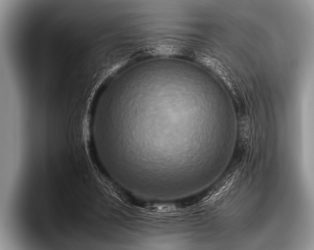 X0000096980395200802081411