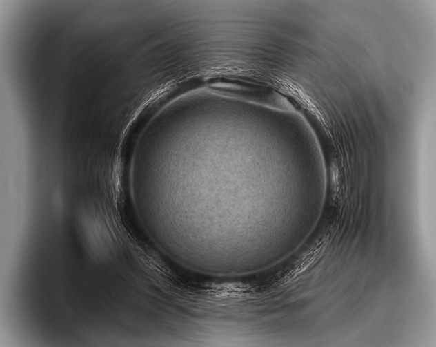 X0000096980396200802081411