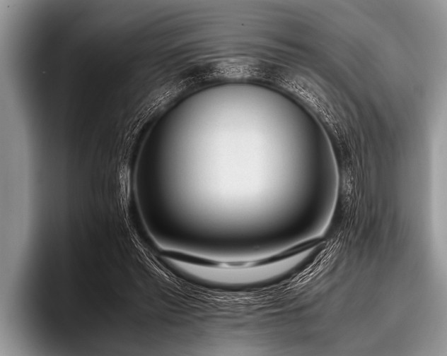 X0000096980397200802081411