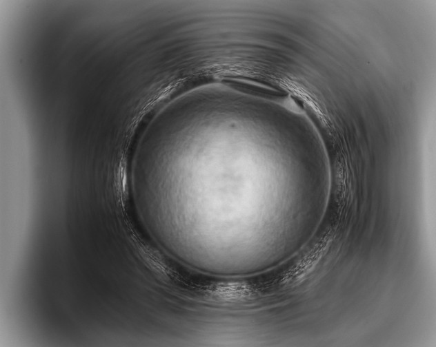 X0000096980398200802081411