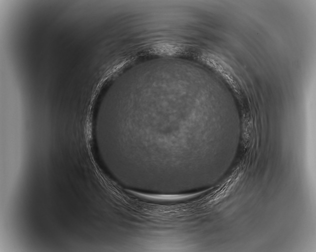 X0000096980399200802081411