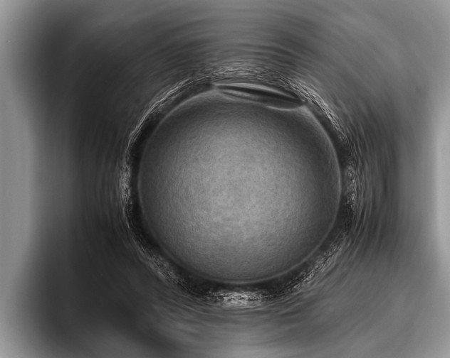 X0000096980400200802081411