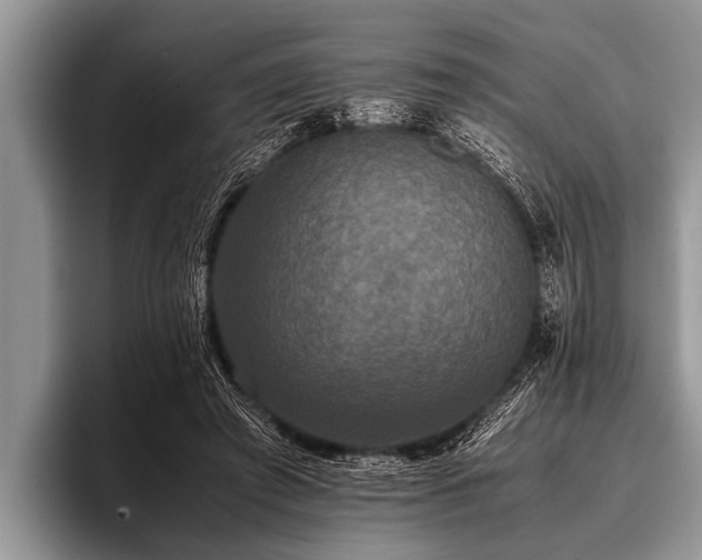 X0000096980401200802081411