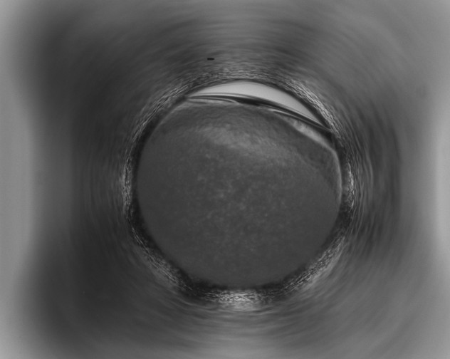 X0000096980402200802081411