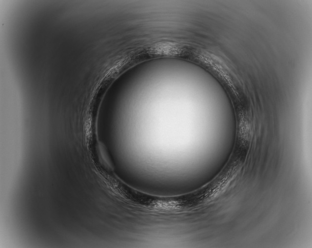 X0000096980403200802081411