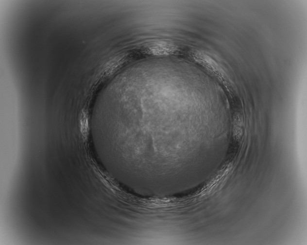 X0000096980405200802081411