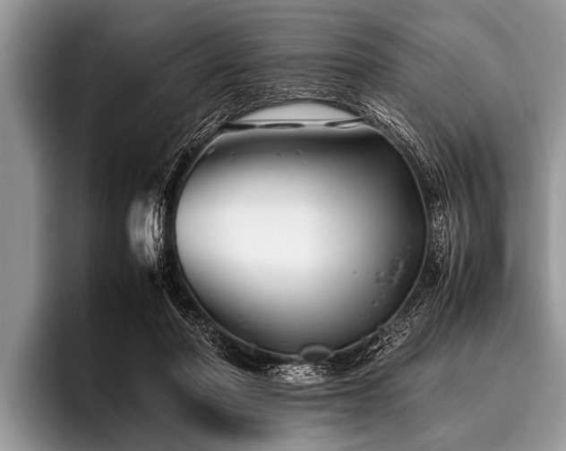 X0000096980406200802081411