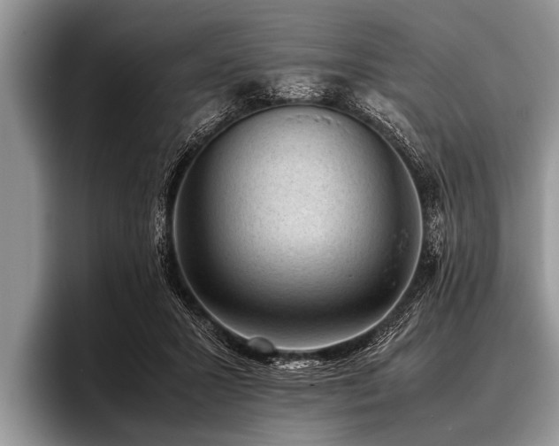 X0000096980407200802081411