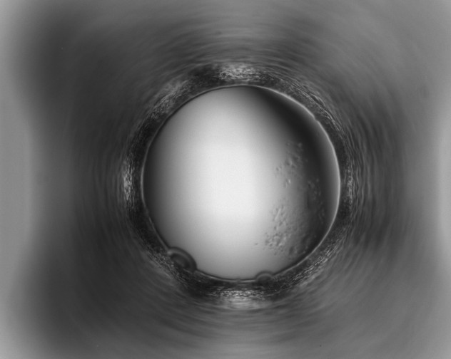 X0000096980408200802081411