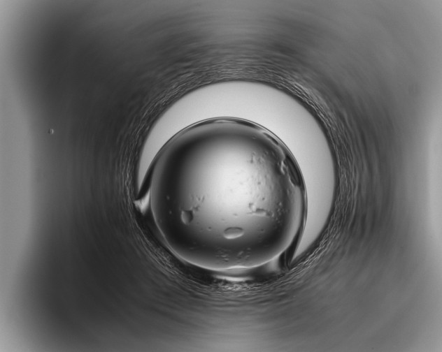 X0000096980409200802081411