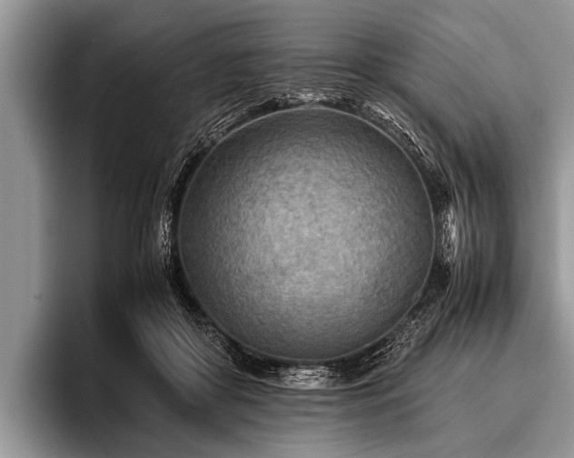 X0000096980410200802081411