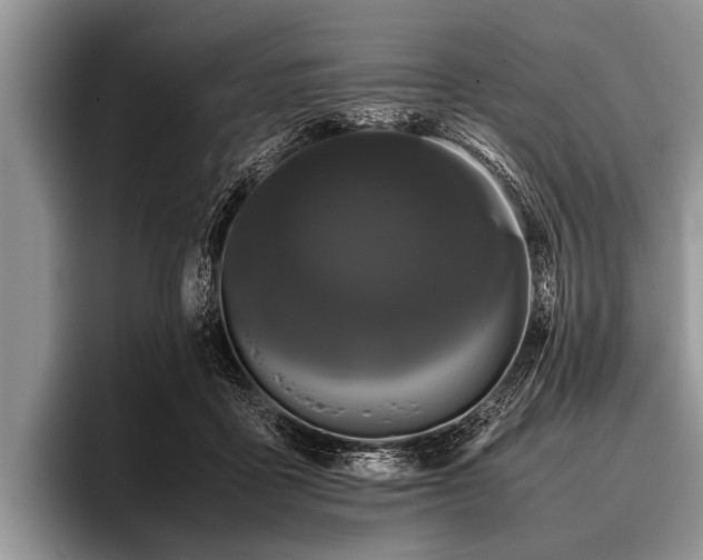 X0000096980411200802081411