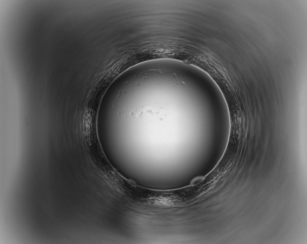 X0000096980412200802081411