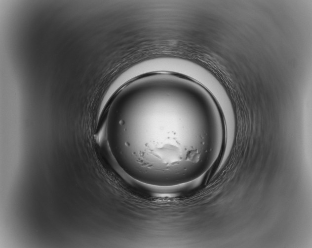 X0000096980415200802081411