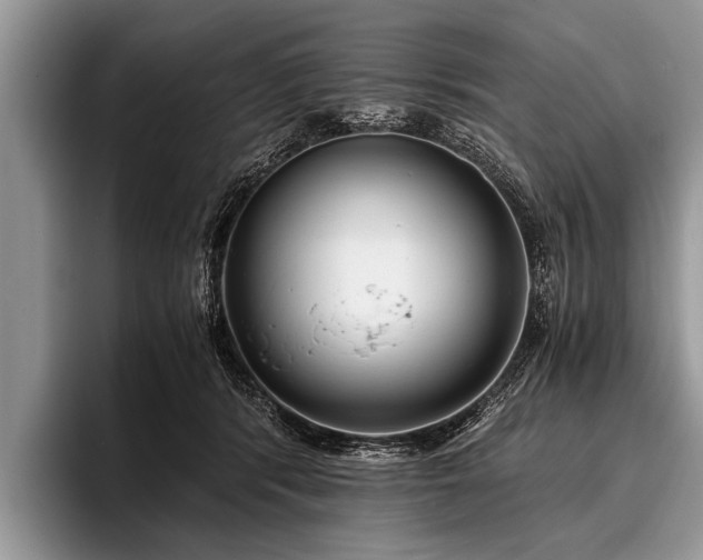 X0000096980416200802081411