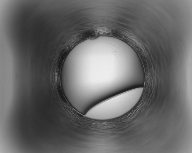 X0000096980417200802081411